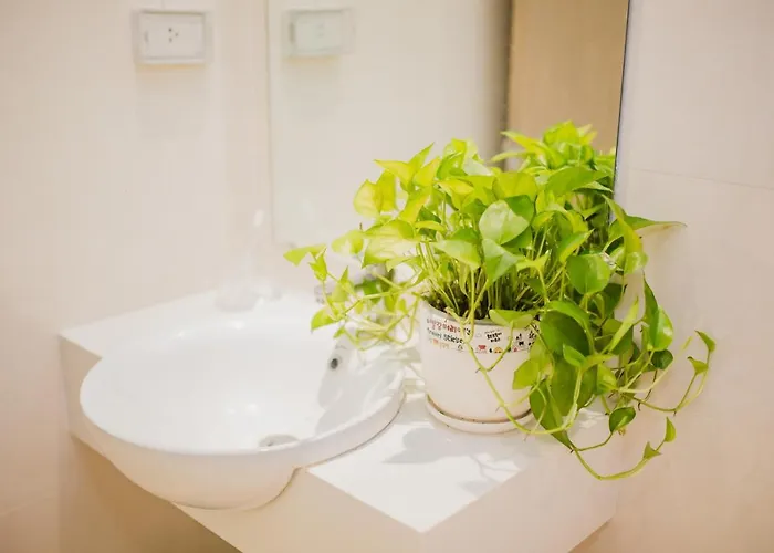 Green Bay Premium Khách sạn *